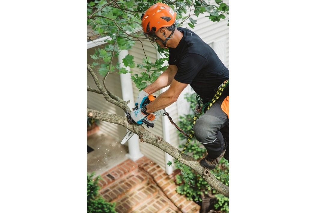 STIHL MS 151 TC-E Benzin-Motorsäge | 1/4″ PM3 Schneidgarnitur 25 cm – Bild 4
