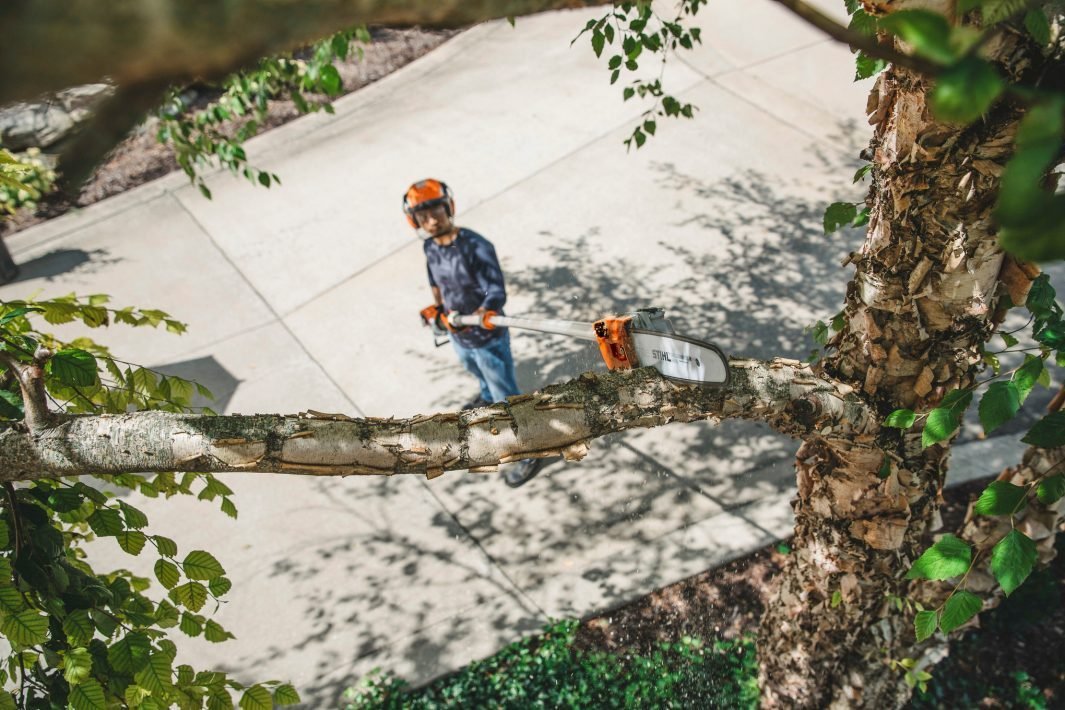 STIHL HT 135 Benzin-Hochentaster | 1/4″ PM3 Schneidgarnitur 30 cm – Bild 3