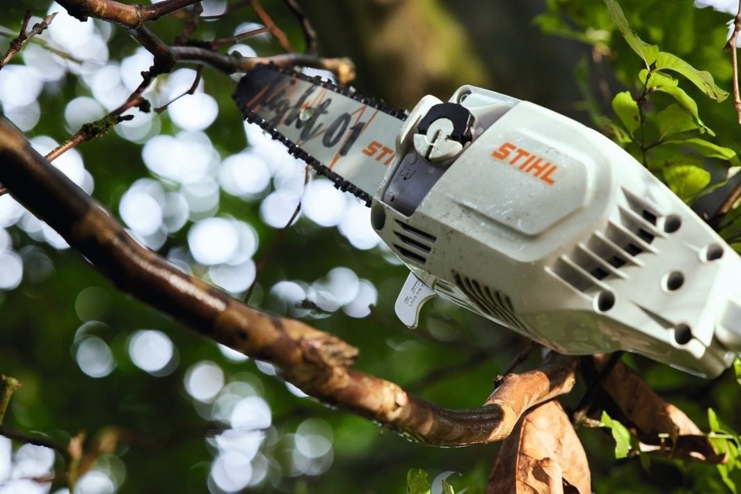 STIHL HTA 86 Akku-Hochentaster | 1/4″ PM3 Schneidgarnitur 30 cm – Bild 5