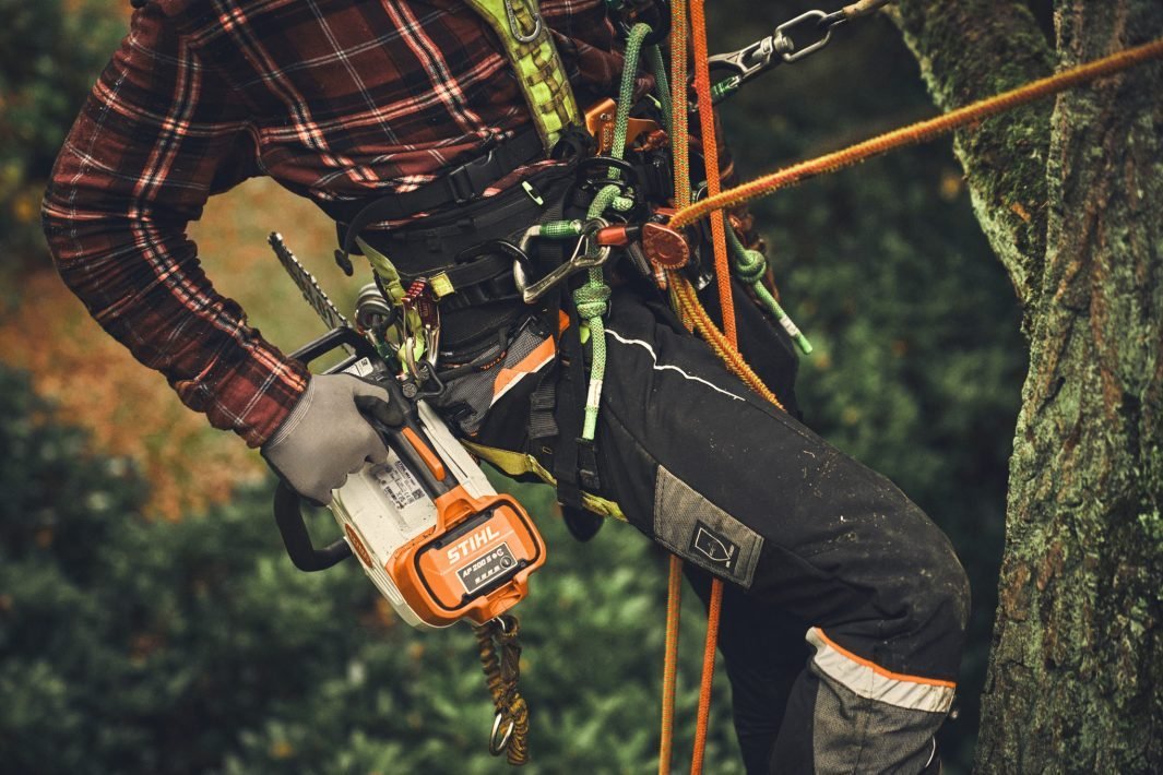 STIHL MSA 220 T Akku-Kettensäge | 3/8″ PS3 Pro Schneidgarnitur 35 cm – Bild 5