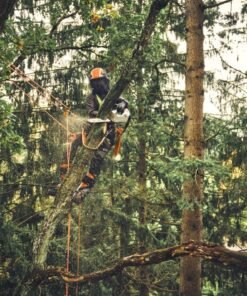 STIHL MSA 220 T Akku-Kettensäge | 3/8″ PS3 Pro Schneidgarnitur 35 cm – Bild 8