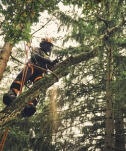 STIHL MSA 220 TC-O Akku-Kettensäge | 3/8″ PS3 Pro Schneidgarnitur 30 cm – Bild 6